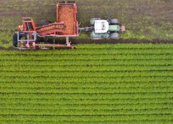 Ολοκληρώθηκαν πληρωμές 487,9 εκατ. από ΟΠΕΚΕΠΕ και ΕΛΓΑ – Έρχονται άλλα 600 εκατ. έως 31/12