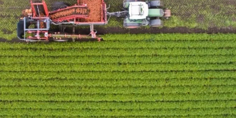 Ολοκληρώθηκαν πληρωμές 487,9 εκατ. από ΟΠΕΚΕΠΕ και ΕΛΓΑ – Έρχονται άλλα 600 εκατ. έως 31/12