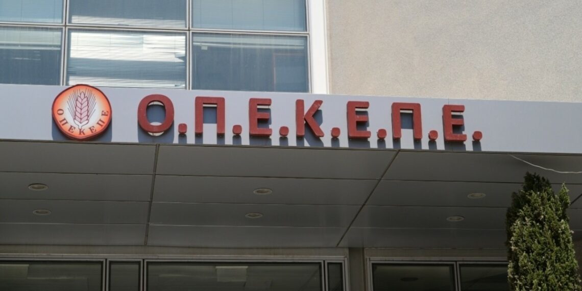 Διορθώσεις στην ΕΑΕ 2025: Άνοιξε το σύστημα για αγρανάπαυση & κοπτολίβαδα