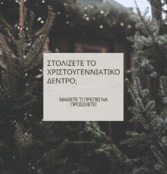 Ασφαλής και Οικολογική Διακόσμηση Χριστουγεννιάτικου Δέντρου | Συμβουλές από την Ένωση Καταναλωτών Ελλάδας