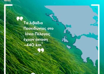 Επιστολή Δήμου Ξηρομέρου για τις αποστάσεις ASC από λιβάδια Posidonia oceanica – Θέσεις και αιτιολόγηση