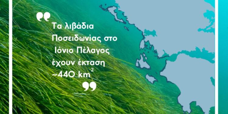 Επιστολή Δήμου Ξηρομέρου για τις αποστάσεις ASC από λιβάδια Posidonia oceanica – Θέσεις και αιτιολόγηση