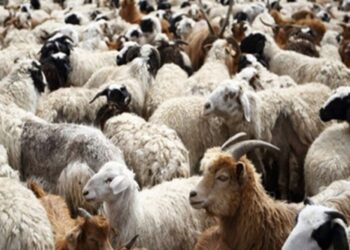 ΕΕΕΔΕΕ: Ο εμβολιασμός δεν αίρει την ανάγκη για αυστηρή εφαρμογή των μέτρων βιοασφάλειας, ούτε συνεπάγεται αυτόματη λήξη της επιδημίας ή άμεση άρση των περιορισμών 