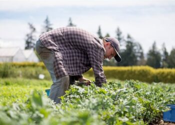 Προδημοσίευση της πρόσκλησης για τις αιτήσεις στήριξης προς ένταξη σε παρεμβάσεις του Πρωτογενούς Τομέα