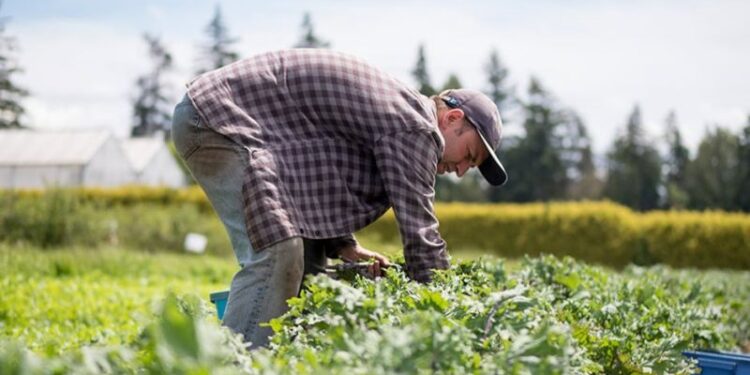Προδημοσίευση της πρόσκλησης για τις αιτήσεις στήριξης προς ένταξη σε παρεμβάσεις του Πρωτογενούς Τομέα
