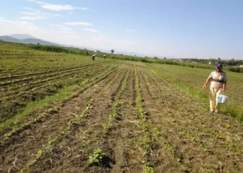 Ένωση Αγρινίου: παραλαβή δικαιολογητικών για την επιστροφή  ΦΠΑ αγροτών