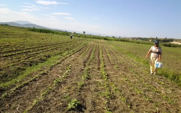 Ένωση Αγρινίου: παραλαβή δικαιολογητικών για την επιστροφή  ΦΠΑ αγροτών