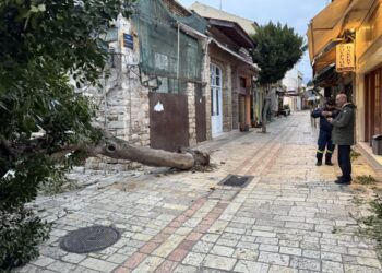 Θυελλώδεις άνεμοι πλήττουν το Μεσολόγγι – Δέντρα ξεριζώθηκαν σε κεντρικούς δρόμους