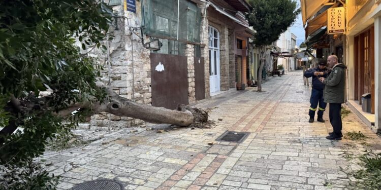 Θυελλώδεις άνεμοι πλήττουν το Μεσολόγγι – Δέντρα ξεριζώθηκαν σε κεντρικούς δρόμους