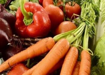 Τελική παράταση έως τις 13 Μαρτίου για την ανανέωση εγγραφής στο Μητρώο Εμπόρων Νωπών Οπωροκηπευτικών (ΜΕΝΟ)