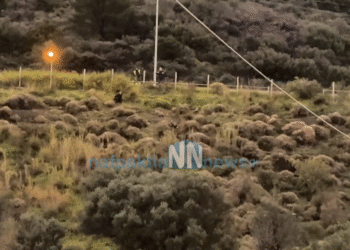 ΕΚΤΑΚΤΟ: Συναγερμός στην αερογέφυρα μετά το τούνελ της Μακύνειας Ναυπακτίας με άτομο που απειλούσε να πέσει-(βίντεο)