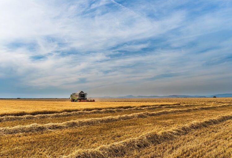Παρεμβάσεις 262,6 εκατ. ευρώ για επενδύσεις στον πρωτογενή τομέα