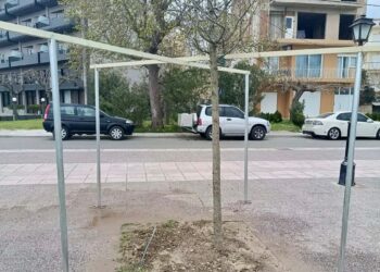 Σε εξέλιξη η δεύτερη φάση φυτεύσεων στο παραλιακό μέτωπο της Ναυπάκτου. Θ.Κοτρωνιάς: «Παραμένουμε σε διαρκή εγρήγορση»