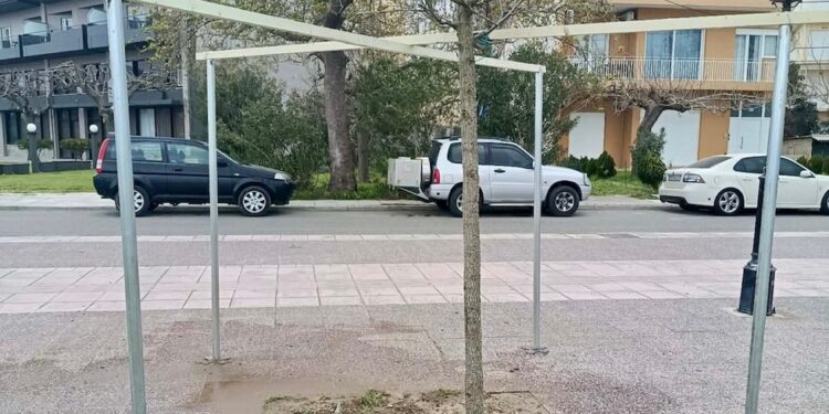 Σε εξέλιξη η δεύτερη φάση φυτεύσεων στο παραλιακό μέτωπο της Ναυπάκτου. Θ.Κοτρωνιάς: «Παραμένουμε σε διαρκή εγρήγορση»