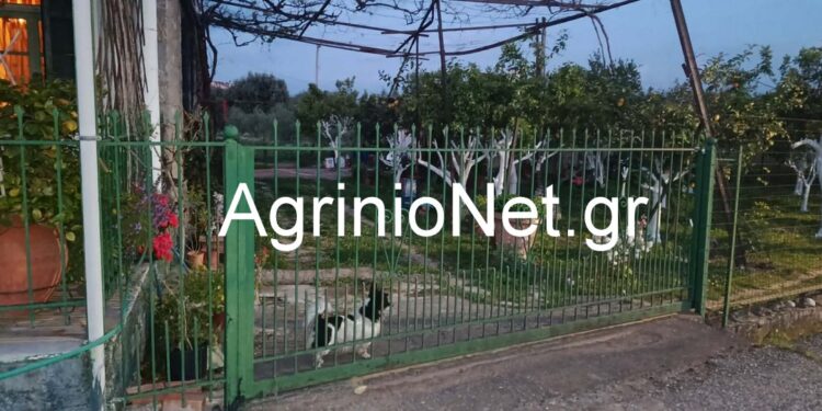 Παναιτώλιο σε κατάσταση φόβου: Σύλληψη για απόπειρα κλοπής και καταγγελίες για ανεξέλεγκτη παραβατικότητα foto