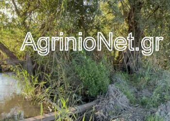 Αγρίνιο: Όταν τα αρδευτικά κανάλια γίνονται ζούγκλα και οι αγρότες πληρώνουν το τίμημα