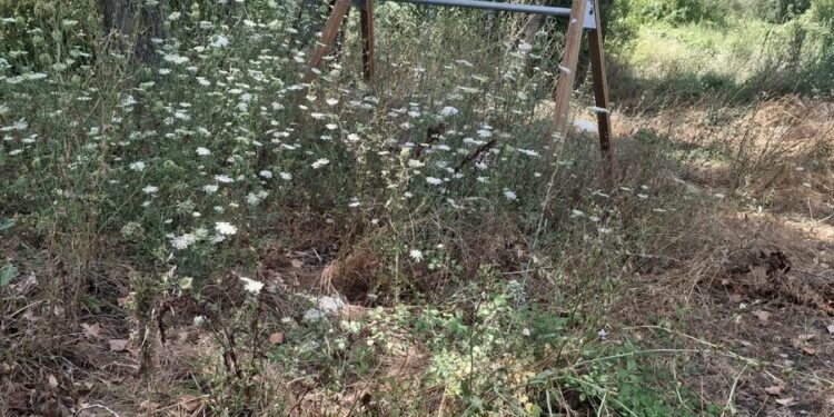 Στα Αμπάρια Παναιτωλίου η Τριχωνίδα είναι πανέμορφη… μέχρι να φτάσεις στην παιδική χαρά! VIDEO FOTO
