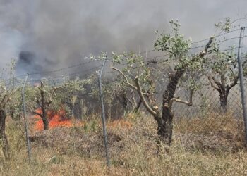 Ερώτημα για την αιτία της πυρκαγιάς στην Υψηλή Παναγιά Ελαιοφύτου