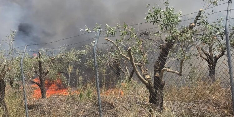 Ερώτημα για την αιτία της πυρκαγιάς στην Υψηλή Παναγιά Ελαιοφύτου