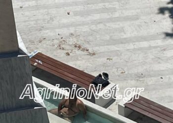 «Πισίνα» έκανε το μνημείο των 120 στο Αγρίνιο – Βουτιές μέσα στον ιερό χώρο VIDEO FOTO