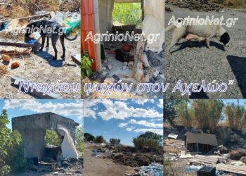Αχελώος: Το «Νταχάου ψυχών» των αδέσποτων video