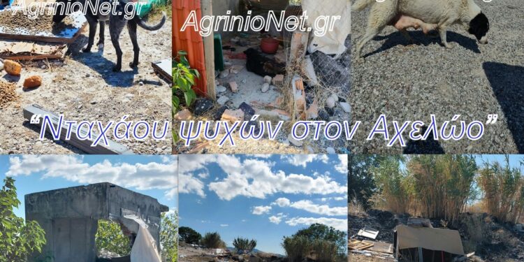 Αχελώος: Το «Νταχάου ψυχών» των αδέσποτων video